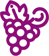 equipamiento vive el vino